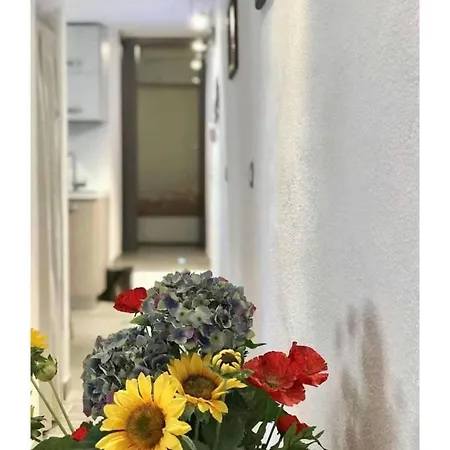 Nyaraló Casa Viola *